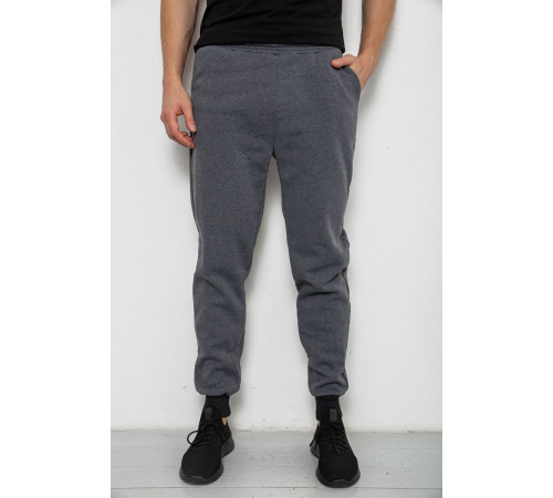 Спортивные штаны мужские на флисе, цвет серый, 238R56910-5