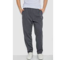 Спортивные штаны мужские, цвет темно-серый, 244R3849