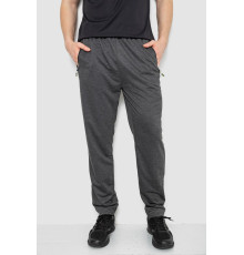 Спортивні штани чоловічі, колір темно-сірий, 244RY-418