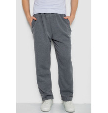 Спортивні штани чоловічі, сірий колір, 244R3849