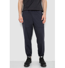 Спортивні штани демісезонні, колір темно-синій, 241R001-1