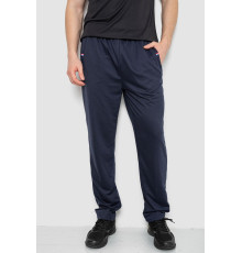 Спортивні штани чоловічі, колір темно-синій, 244R41745.