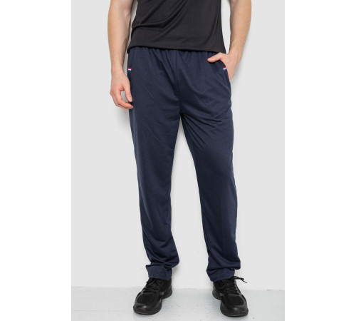 Спортивные штаны мужские, цвет темно-синий, 244R41745