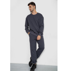 Спортивный демисезонный мужской костюм, цвет серый, 241R176