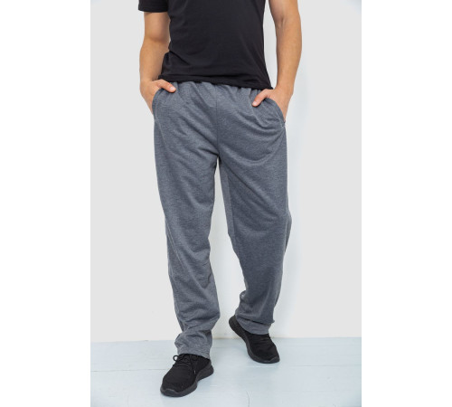Спортивные штаны мужские, цвет серый, 244R0668