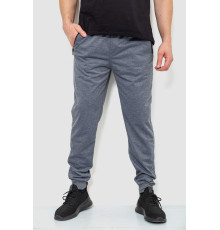 Спортивні штани чоловічі, сірий колір, 244R4779