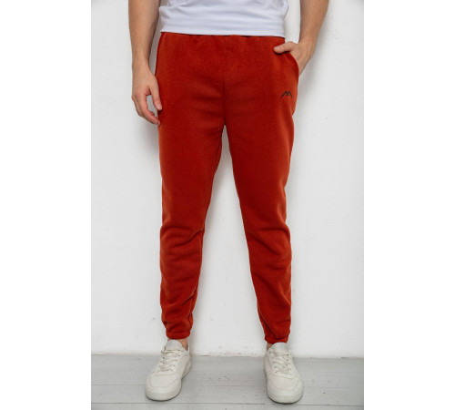 Спортивные штаны мужские на флисе, цвет терракотовый, 238R57256-1